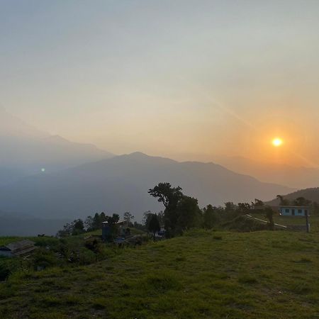 Tranquil Water Guest House Pokhara Ngoại thất bức ảnh
