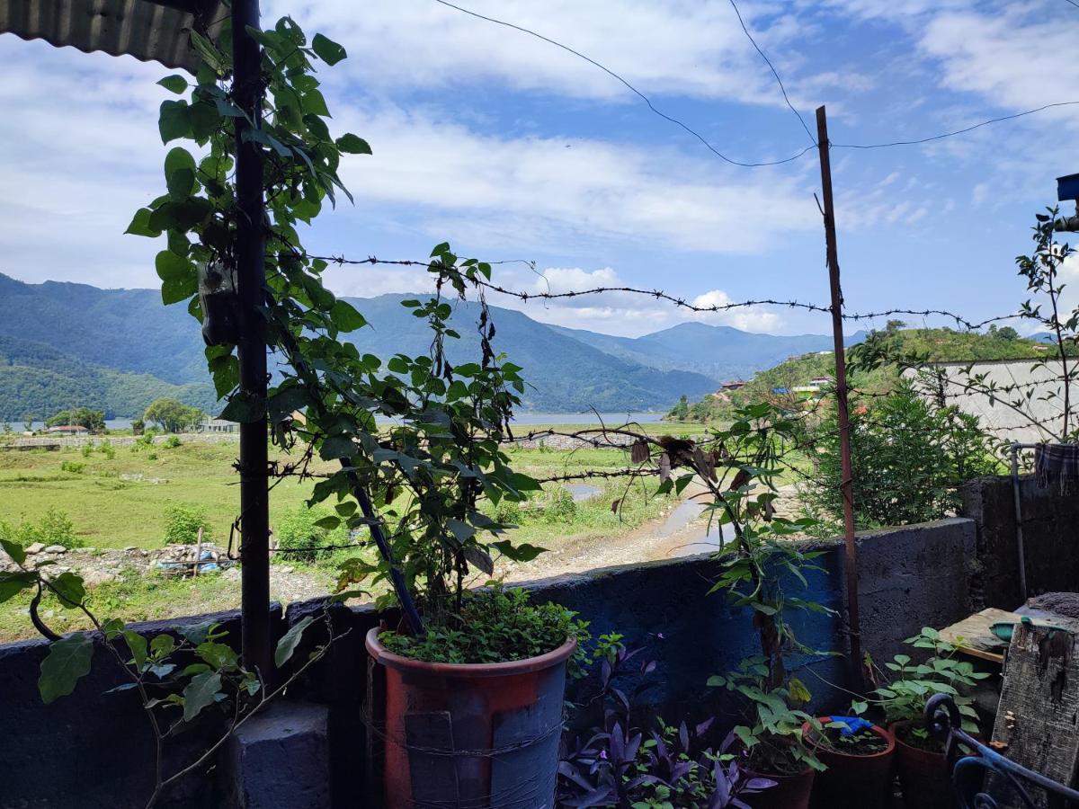 Tranquil Water Guest House Pokhara Ngoại thất bức ảnh