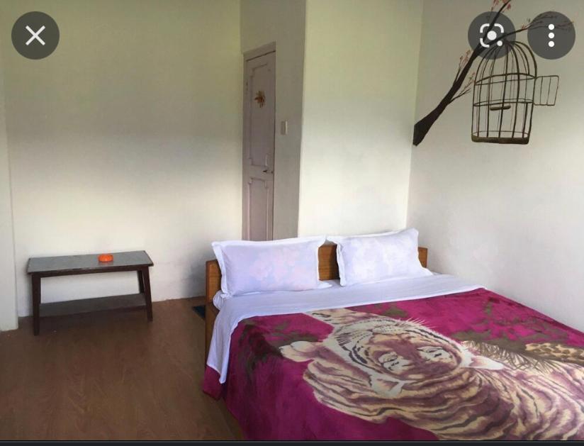Tranquil Water Guest House Pokhara Ngoại thất bức ảnh