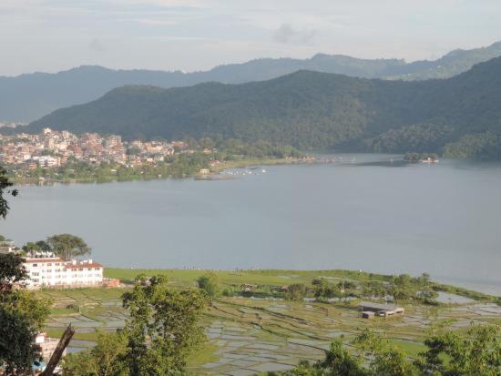 Tranquil Water Guest House Pokhara Ngoại thất bức ảnh